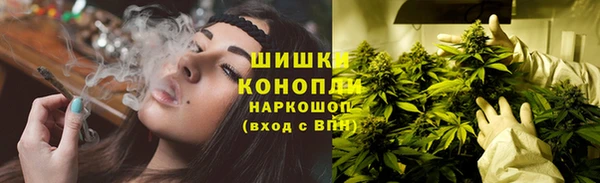 ПСИЛОЦИБИНОВЫЕ ГРИБЫ Пестово