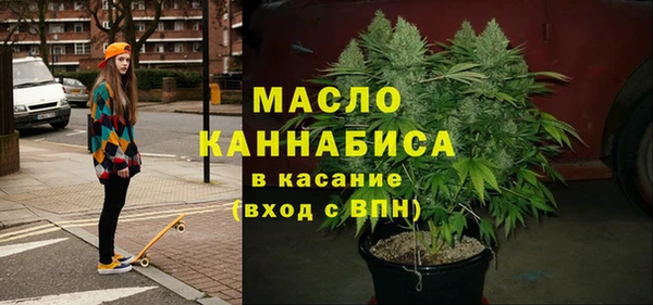 винт Пересвет