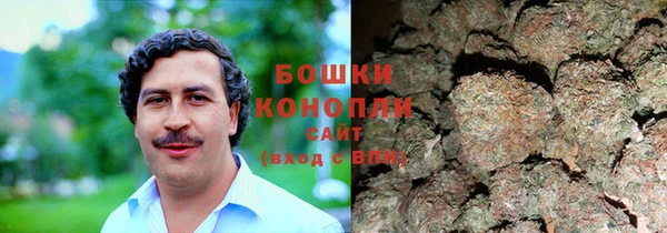 эйфоретик Переславль-Залесский
