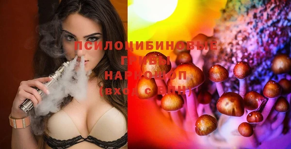 ПСИЛОЦИБИНОВЫЕ ГРИБЫ Пестово